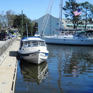 Sea Baby at Oriental seawall 9.16.11