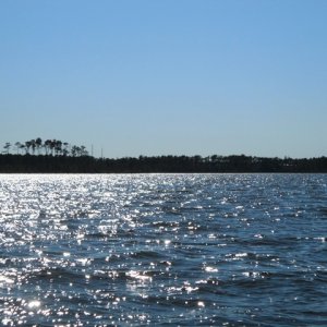 Afternoon sun, Neuse River near Broad Creek 9.16.11