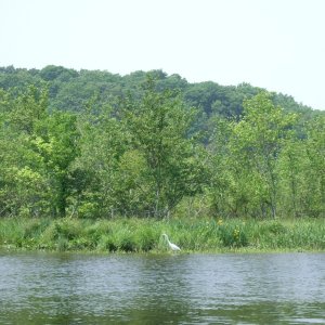 Media 'Beautiful Selden Creek' in album '1 Arriving at Selden Is'