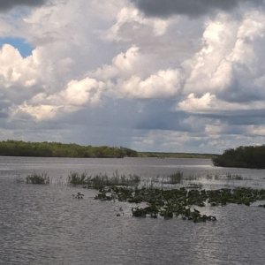 Looking upstream towards Sawgrass Lake.
