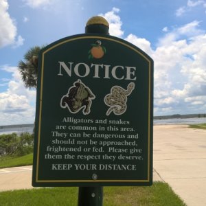A warning or, for adventurous cruisers, a notice that fresh meat is available.