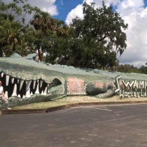 Sure enough, right down the road we encountered a large alligator.  Run, Beth!