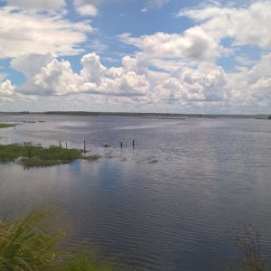 Early September and much of the St. Johns was flooded.  Even when there was no wildlife visible, the clouds were sufficiently entertaining.