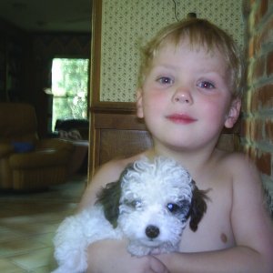 Media 'Tennison & Puppy' in album 'Panda'