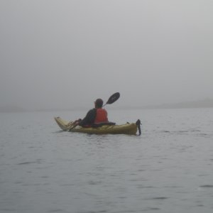 Media 'Into the Mist' in album 'Headed to Desolation Sound, Sept 2011'