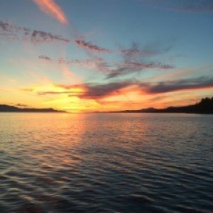 From Secret Cove