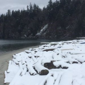 Snow on Thormaby Island