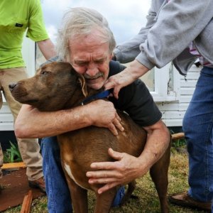 Media 'A Man Reunites With His Dog After The Alabama Tornado 3' in album 'A Man Reunites With His Dog After The Alabama Tornado 1'