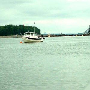 Anchored to an Anchor.JPG