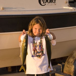 Media 'Firecracker yellowtail. Her first Baja catch -- turned into a big tray of fish tacos in a downtown Loreto restaurant. Plenty for  the whole family!' in album 'Island hopping around Loreto Bay National Marine Park, Sea of Cortez  (Baja California, Sur, Mexico). Launched out of Puerto Escondido, a dozen miles south of Loreto.'