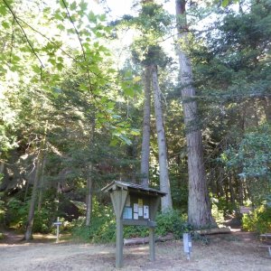 Campground at Matia