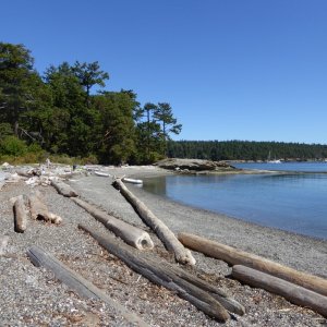 Media 'Echo Bay beach' in album 'First time out with new camperback!'