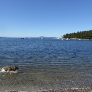 Media 'Shallow Bay' in album 'First time out with new camperback!'