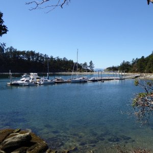 Back to Fossil Bay and a peek at Dock #2