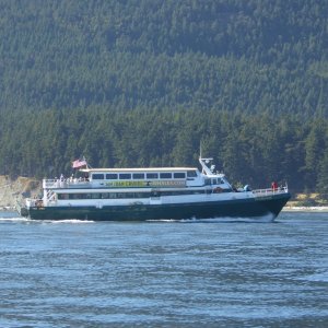 My folks happen to be on this whale watching boat, along with my uncle!