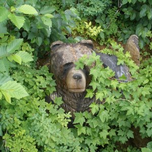 Fake Bear