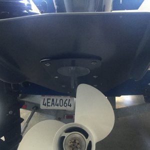 Media '1FB76825-4F5E-47CD-8346-D4C3BAE545EC' in album 'Permatrim installed'