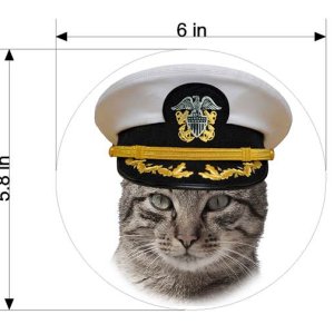 Media 'Captain Scooter' in album 'C Gull For Sale'