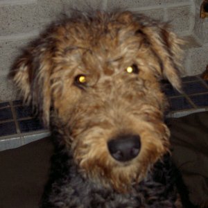 Boomer before.
