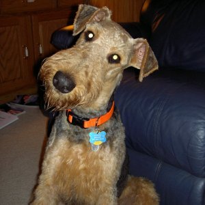 Boomer after!