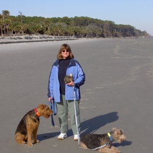 Marcia with Freyja and Valkyrie at the beach in SC at Hunting Island State Park.