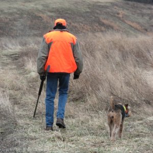 Valkyrie's last hunt.  Our last of many over the years.  It was very bittersweet.