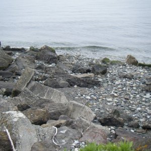 DSCF0839.JPG