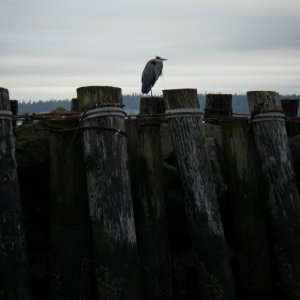 DSCF0829.JPG