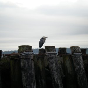 DSCF0828.JPG