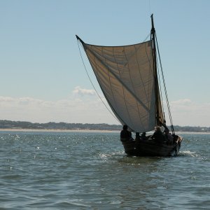 Media 'This Shallop will be used for reenactment commerating the 400th anniversary of the First Landing,  at First Landing State Park, Va. Beach, on 26 April. She will be accompanied by the replicas of the Susan B. Constant, the Discovery and the Godspeed.' in album 'Replica of Capt. John Smith's Shallop used to explore the Chesapeake Bay in 1608.'