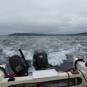 After slogging through this stuff for about 3 hours I finally returned to Edmonds to wait it out.
