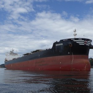 Media 'Large ship waiting for its turn at the grain terminal in Elliott bay.' in album 'Leaving Edmonds 9AM on 7/16/16'