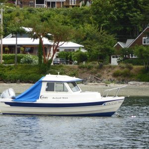 Media 'A 16' Cruiser named "Actual Size" moored off of Bainbridge Island' in album 'Leaving Edmonds 9AM on 7/16/16'