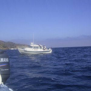islander