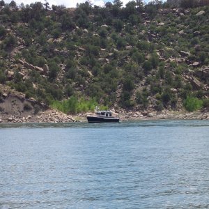 Ranger 29, Spirit of Gratitude at anchor