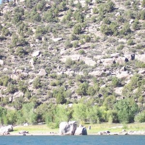 Interesting sanstone rock