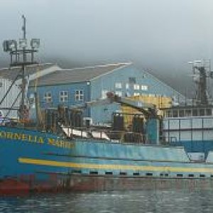 Cornelia Marie