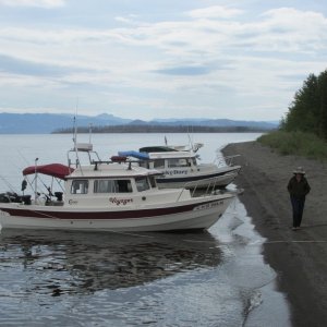 Media 'Gathering on Dot Island' in album 'Yellowstone Lake 2015'