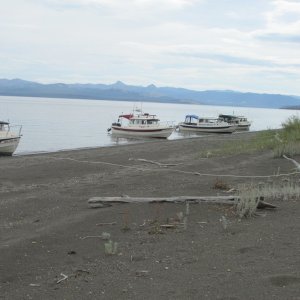 Dot Island