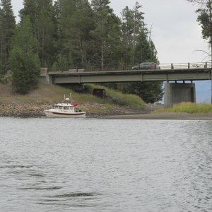 Media 'Cody in "Voyageur" Returning to Bridge Bay Marina' in album 'Yellowstone Lake 2015'