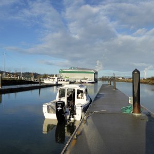 Media 'Back at the marina' in album 'Waking up Cap Sante Sunday morning'