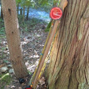 Media 'Trailer lights mounted on cedar board for improved reliability.' in album 'Anchor retainer using quick release pin to allow removal of anchor line from bow roller. Neoprene pad prevents scratches.'