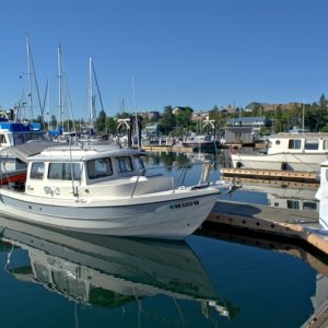 On the Friday before Shrimp opening, and with 80 degree sunny weather, only one other boat on H-dock! That one other boat was a home-built Devlin design, 31' LOA built by a man from Bellingham.