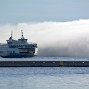 Thick fog rolled in on Saturday morning for a bit.
