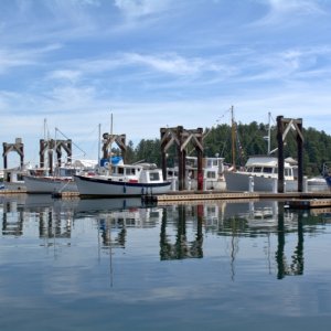 Some of the other Willards on G-dock on Saturday afternoon.