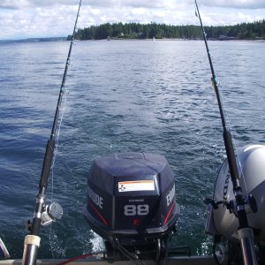 Fishing for Lingcod, San Juan Islands