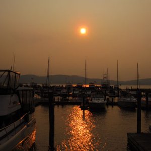 Marina sunset
