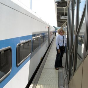 The train