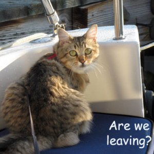 Are we leaving?