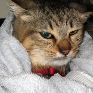 NOT happy